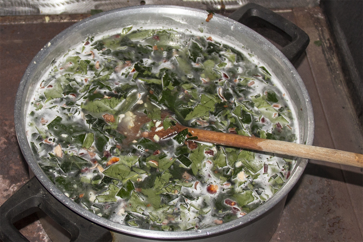 Kurz aufkochen