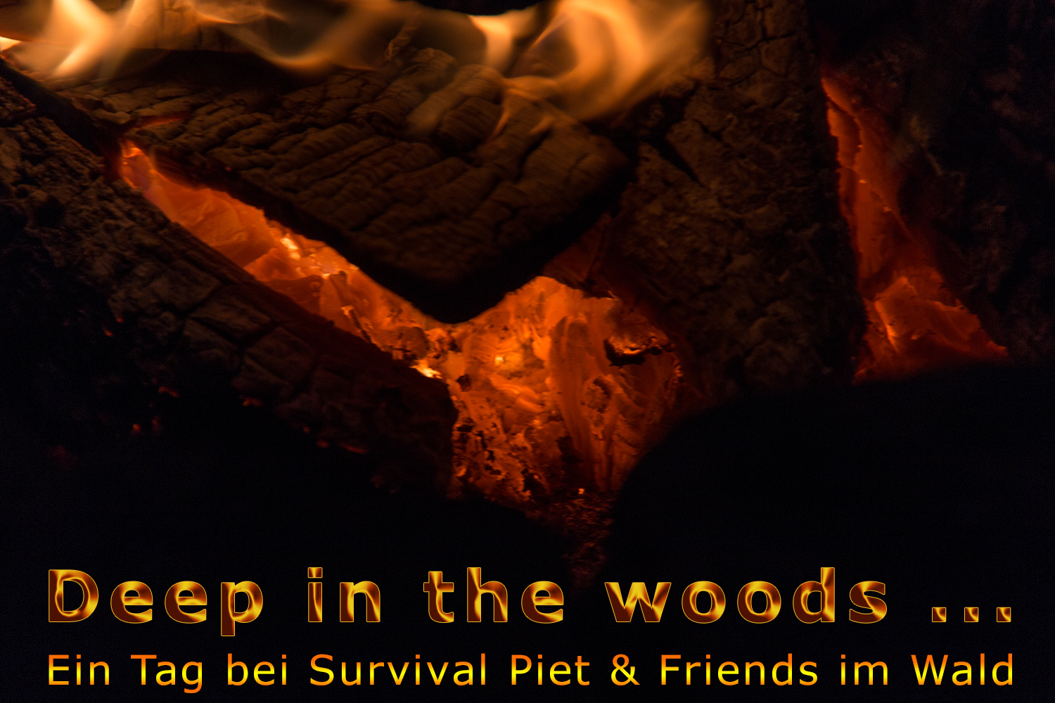 Treffen im Wald